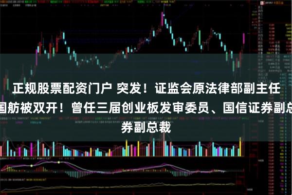 正规股票配资门户 突发！证监会原法律部副主任吴国舫被双开！曾任三届创业板发审委员、国信证券副总裁